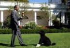 Barack Obama Reveals Death Of Family Dog ‘Bo’