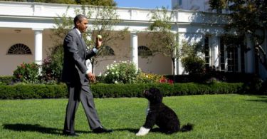Barack Obama Reveals Death Of Family Dog ‘Bo’